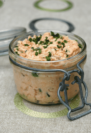 Two salmon rillette